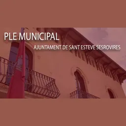 Plens municipals Sant Esteve Sesrovires del 17/6/2020 - episode art