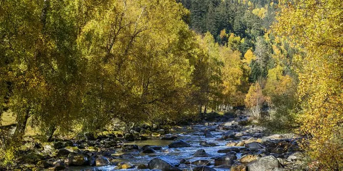 El Parc de l'Alt Pirineu prepara la candidatura de la capçalera de la Noguera Pallaresa com a 'Wild River'
