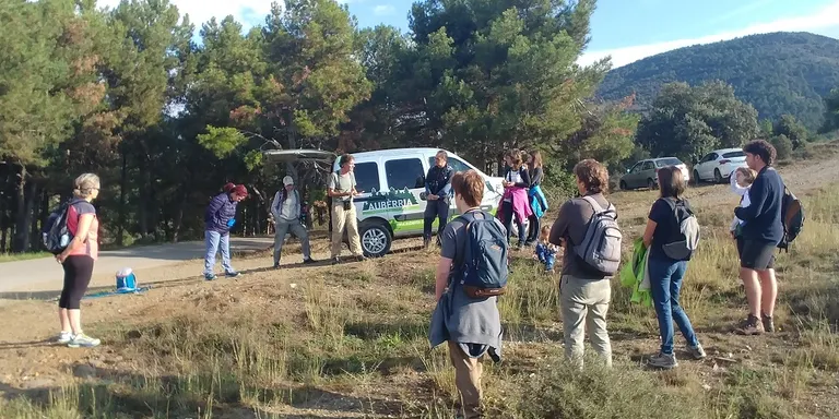 El primer Bioblitz de la Seu d'Urgell inventaria 54 espècies de flora, 34 d'ocells i 15 de papallones
