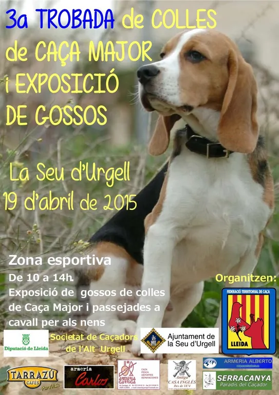 La Seu acull la 3a Trobada de Colles de Caça Major i una exposició de gossos caçadors