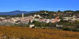 Aprovat inicialment el nou polígon entre Alió i Vila-rodona