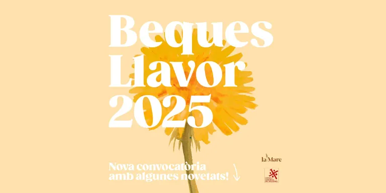 Les Beques Llavor 2025 incrementen la dotació fins a 2.000 euros