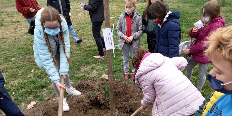 Un total de 180 alumnes de les escoles de la Seu d'Urgell i Castellciutat participen al Dia Mundial de l'Arbre