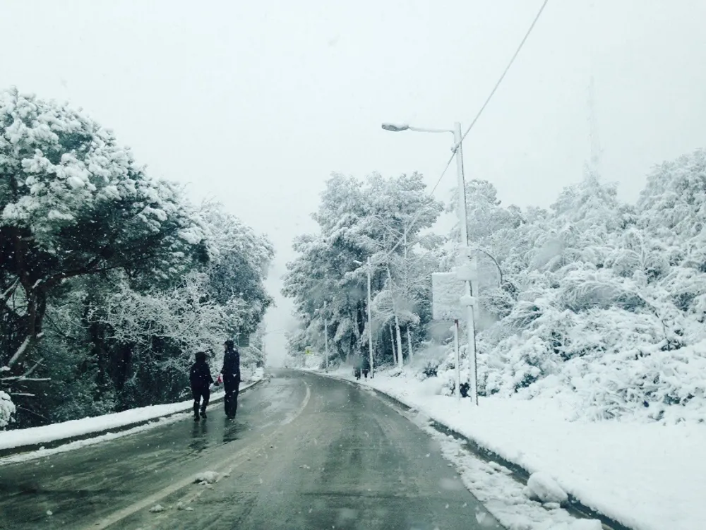 Nevada 2015 Rubí: Camí Vell d'Ullastrell