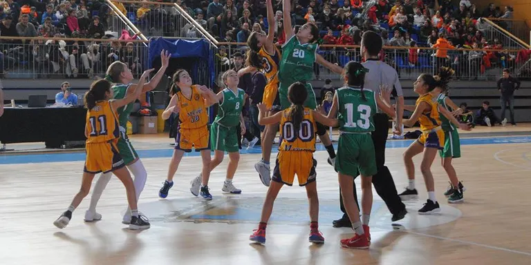 La Seu acollirà els Campionats de Catalunya de minibàsquet i l'estatal cadet i juvenil de patinatge