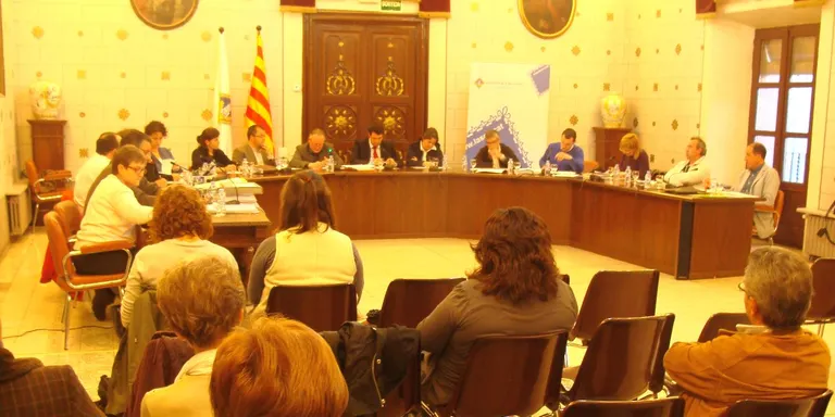 El ple de la Seu aprova prorrogar els pressupostos del 2010