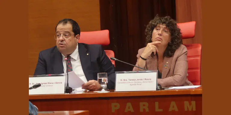 El Govern preveu una campanya d'estiu "difícil" i amb mesures de prevenció "sense precedents" per evitar grans incendis