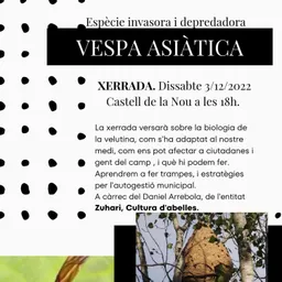 #244 - Entrevista a Daniel Arrébola de l'associació Zuhari - episode art