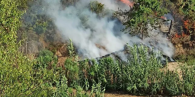 Un incendi forestal crema 2000 m2 de vegetació i bosc al peu del Turó de la Guàrdia