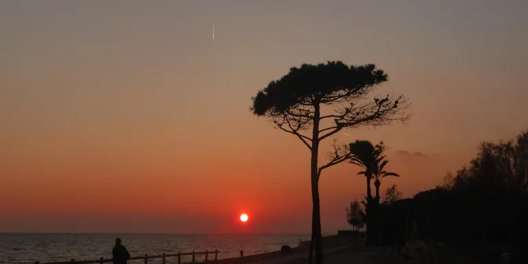 Temps molt estable i temperatures normalitzades