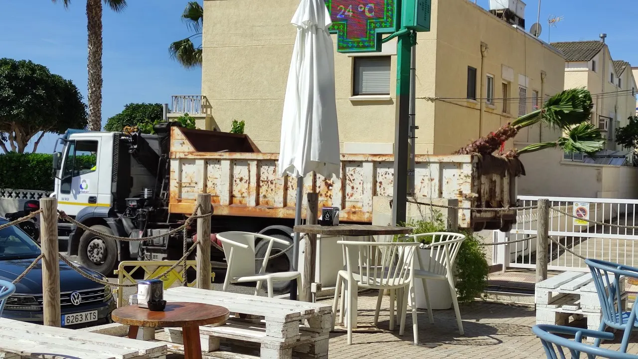 L’Ajuntament de Cambrils canvia l’arbrat viari dels barris de ponent