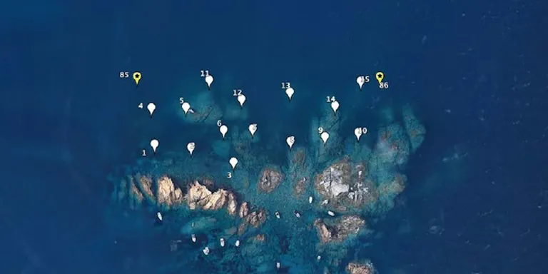 Un estudi assenyala l'impacte "positiu" que tenen els camps de boies per a la fauna i la flora del litoral de l'Empordà