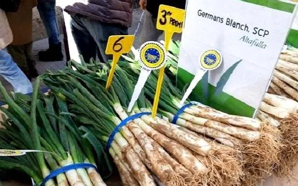 Foto: Horta Germans Blanch