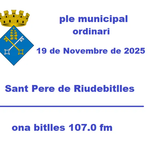 Ple Municipal 19 de Novembre de 2025
