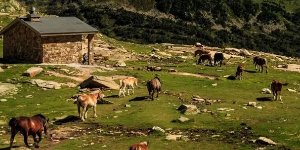Medi Ambient d'Andorra denuncia desperfectes deliberats al refugi no guardat de Cabana Sorda