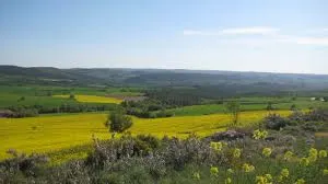El Consell Comarcal del Solsonès és el primer de Catalunya que se suma a la campanya 0,5% de l'IBI
