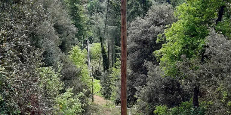 Endesa posa en marxa la primera línia elèctrica amb cable trenat d'Osona i La Selva