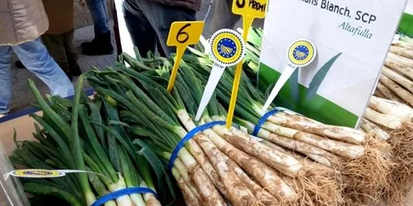Els Germans Blanch tornen a guanyar el tercer premi del Concurs de Cultivadors de Calçots de Valls