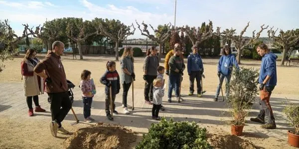 Torredembarra celebra la Festa de l’Arbre amb més de cent plantacions