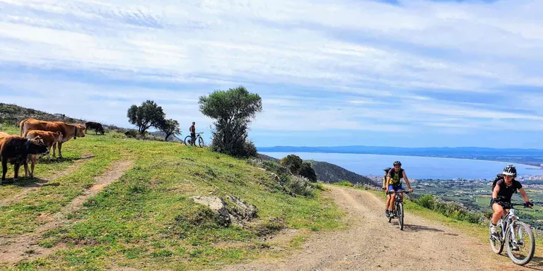 El Centre Excursionista Montpalau Team organitza una sortida en BTT per recórrer el Cap de Creus.