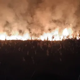 #711 - Incendi a Torredembarra amb circulació ferroviària tallada - episode art