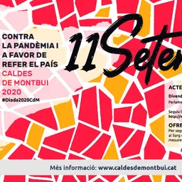 Parlaments institucionals de la Diada 2020. Divendres 11/09/20 del 11/9/2020 - episode art
