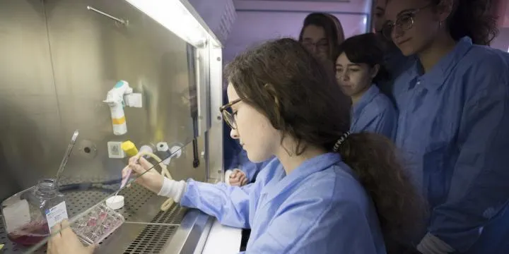 Una alumna de l'Institut Francesc Ribalta, seleccionada per participar al "Bojos per la ciència 2021"
