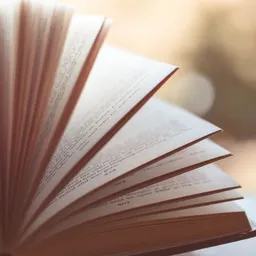 #119 - Racó literari local: Espai de llibres - episode art