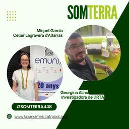 #262 - Som Terra amb Pili Garcia del 25/9/2024 - episode art