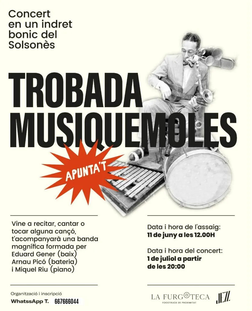 <strong>Una iniciativa ofereix a músics amateurs de participar en un concert acompanyats per una banda professional</strong>
