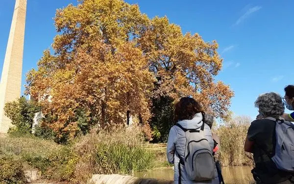 Foto: Associació Mediambiental La Sínia