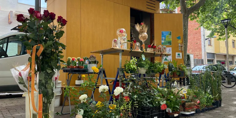 El Sant Jordi més festiu torna al Morell
