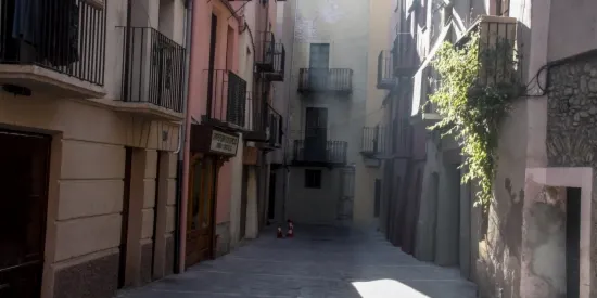 La Seu d'Urgell vol dinamitzar econòmicament el carrer dels Canonges