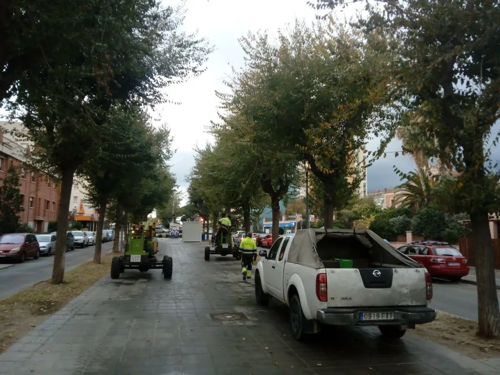 Comença la campanya de poda