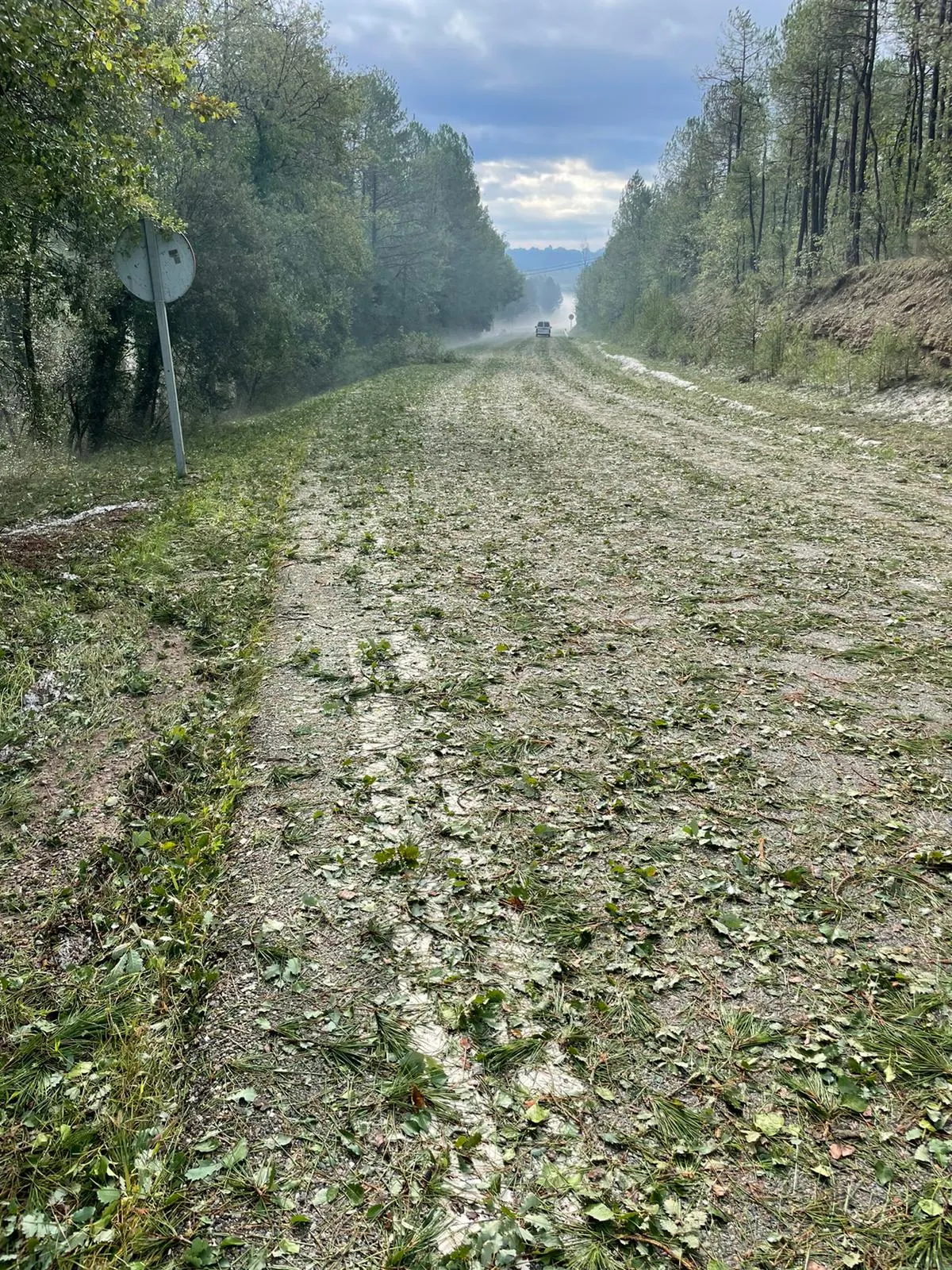 L'obstrucció d'una rasa i la supervivència dels arbres, principals preocupacions de l'Ajuntament de Navès arran de la tempesta de principi de mes