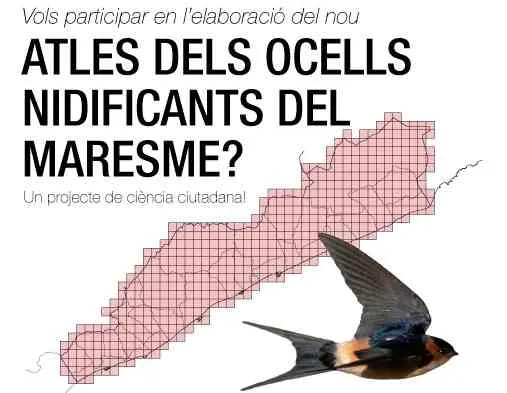 S'inicia el projecte per fer el nou Atles dels Ocells Nidificants del Maresme
