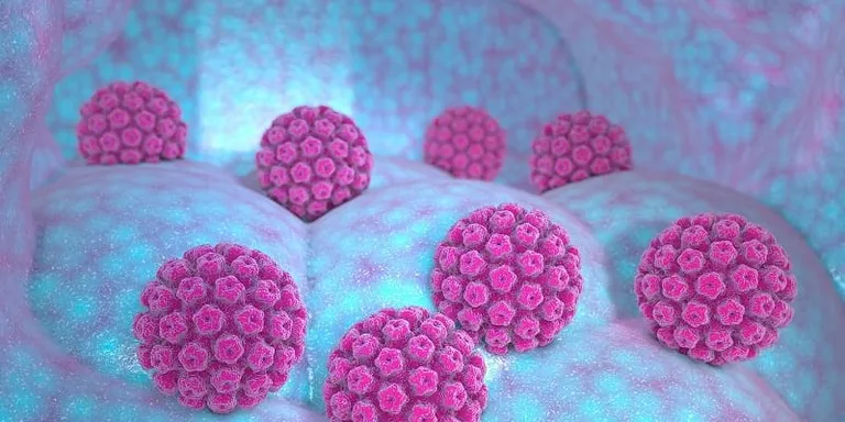 Salut incorpora la prova de detecció del virus del papil·loma humà a les dones de 30 a 65 anys