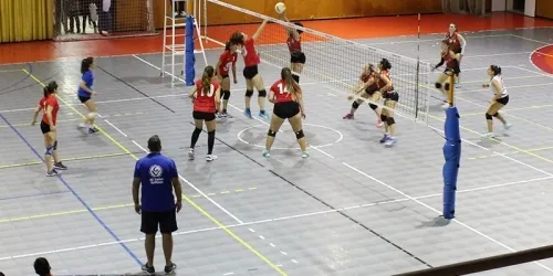 Setmana de recuperació en handbol i vòlei
