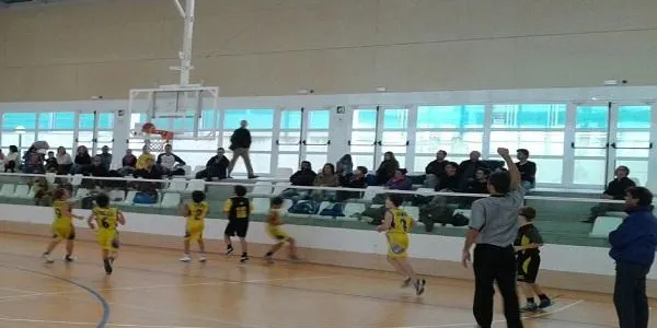 Només l’Aleví Masculí i el Benjamí Masculí del CB Altafulla aconsegueixen la victòria en aquesta setena jornada de lliga