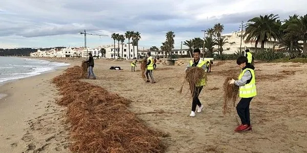 El nou pla de gestió de la platja d’Altafulla veurà la llum el proper dissabte 29 de febrer