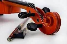 Retorn de l’import de les entrades del concert de cambra suspès