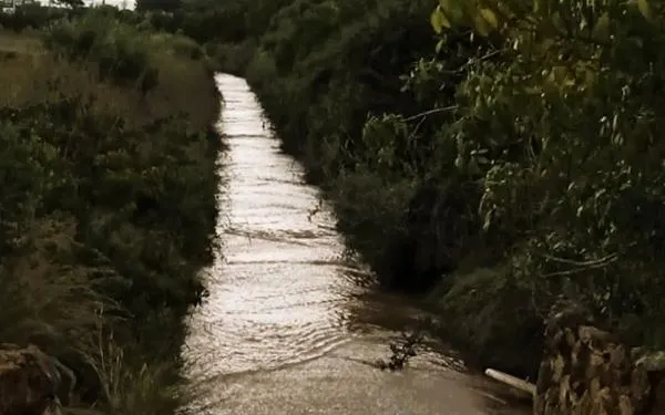 Foto: Ajuntament de Torredembarra