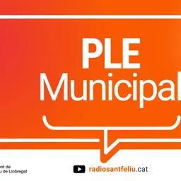 El Ple Municipal del 28/7/2022 - episode art