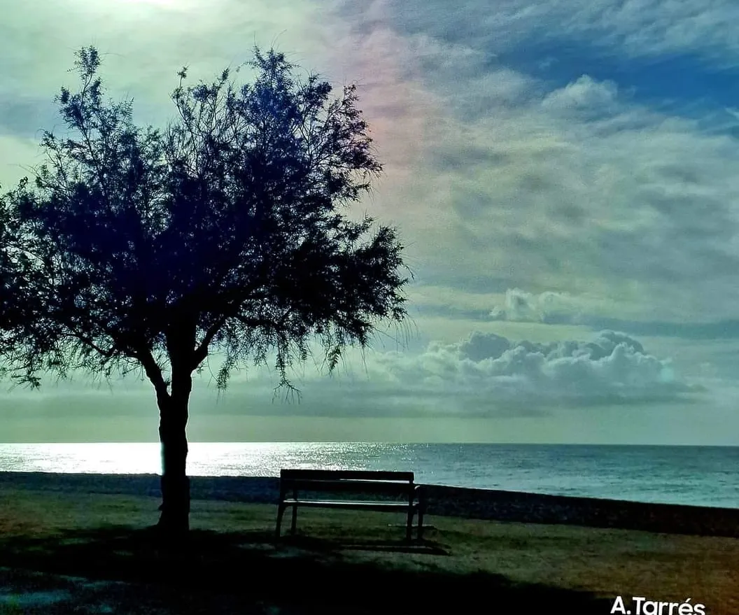 Bon temps i temperatures sense canvis