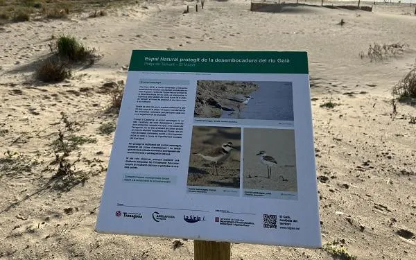 Foto: Birding Catalunya (Enric Pàmies)