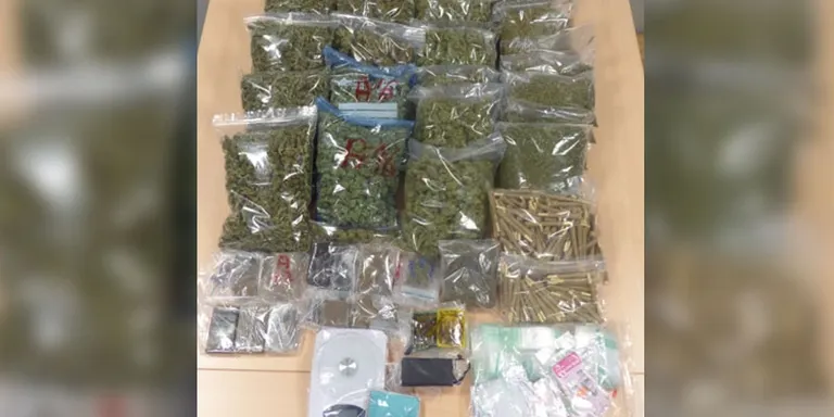 Els Mossos clausuren el club cannàbic La Nau i detenen el seu president per tràfic de drogues