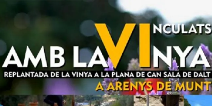 El Celler arenyenc Talcomraja engega el projecte ‘Vinculats amb la Vinya’