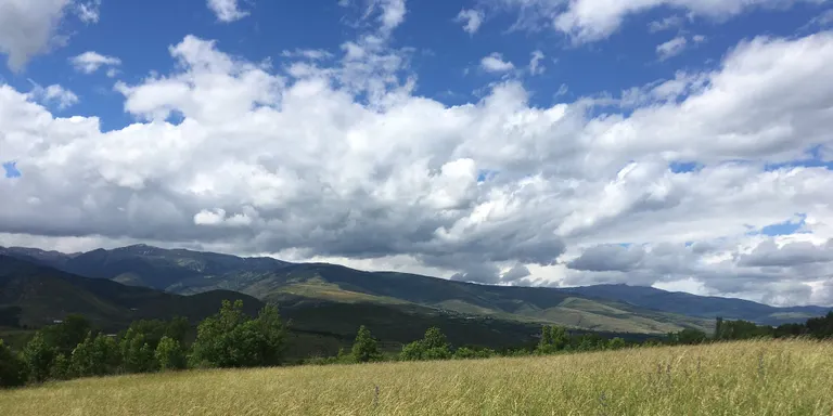 Unió de Pagesos valora com a "normal" la collita de blat i colza