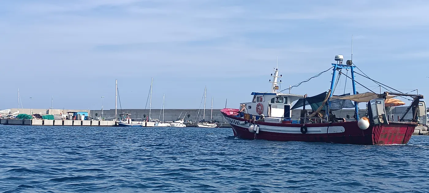 Els pescadors, obligats a fer la veda de sardina perquè l'Estat no ha publicat el canvi que l'ajornava al BOE