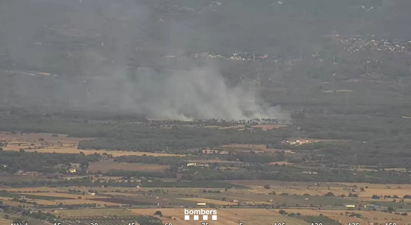 Un petit incendi afecta els termes municipals del Pla de Santa Maria i Santes Creus